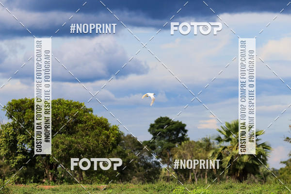 Buy your photos of the eventPiau Rally Camp on Fotop