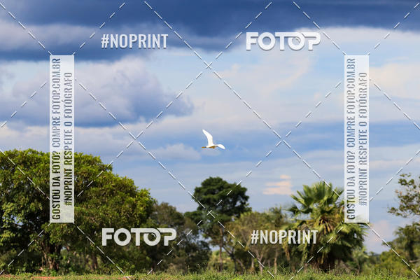 Buy your photos of the eventPiau Rally Camp on Fotop