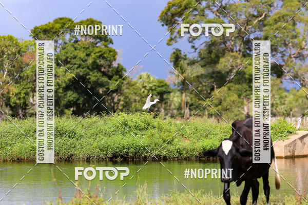 Buy your photos of the eventPiau Rally Camp on Fotop