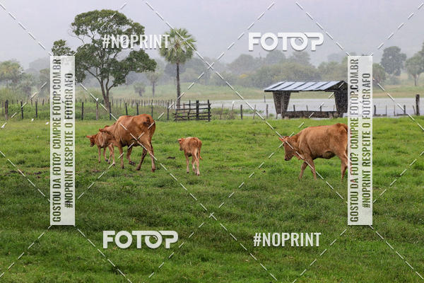 Buy your photos of the eventPiau Rally Camp on Fotop