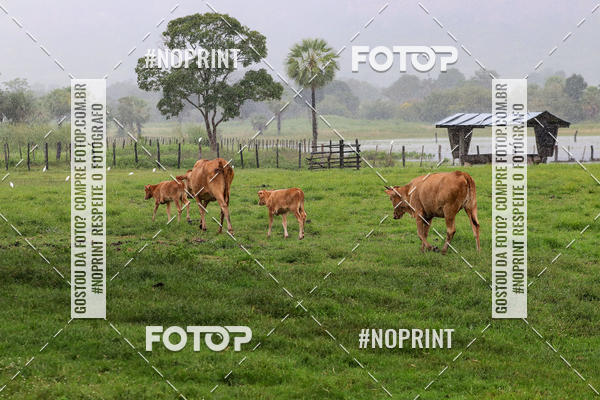 Buy your photos of the eventPiau Rally Camp on Fotop