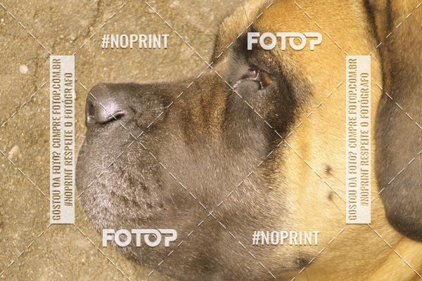 Acquista le foto dell'eventoDesafio dos ventos MTB in Fotop