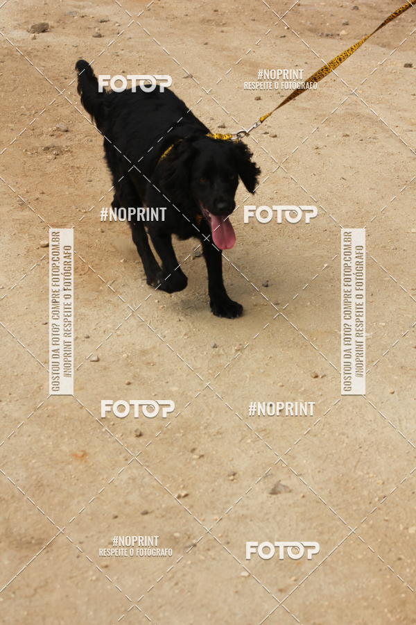 Buy your photos of the eventTrein�o Eu na Montanha Etapa Pastor Alem�o on Fotop