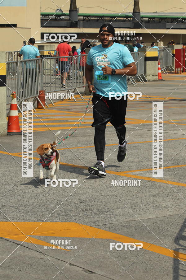 Buy your photos of the eventCorrida Scooby Doo Internacional Shopping Guarulhos 2019 on Fotop