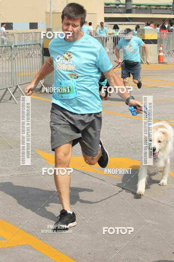 Buy your photos of the eventCorrida Scooby Doo Internacional Shopping Guarulhos 2019 on Fotop