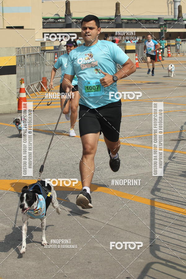 Buy your photos of the eventCorrida Scooby Doo Internacional Shopping Guarulhos 2019 on Fotop