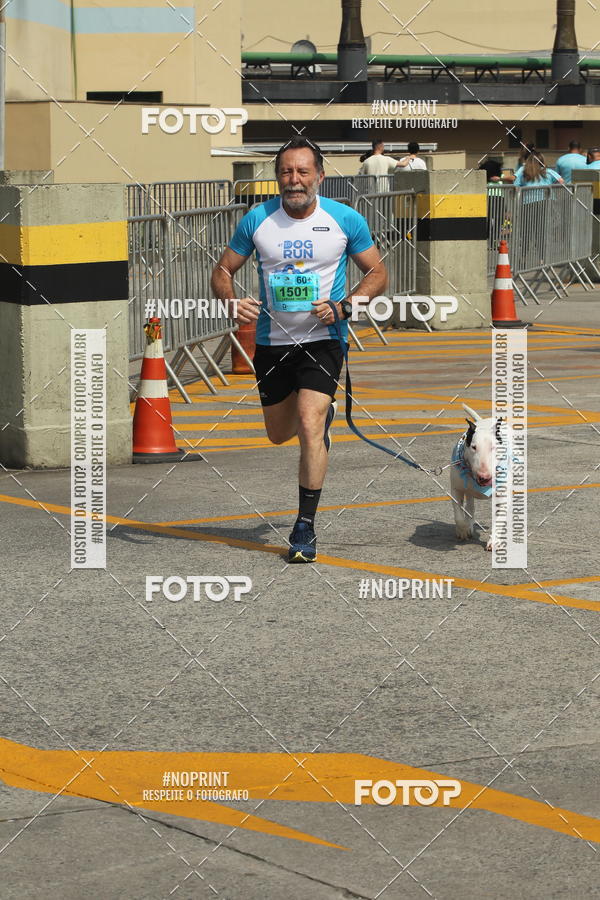 Buy your photos of the eventCorrida Scooby Doo Internacional Shopping Guarulhos 2019 on Fotop