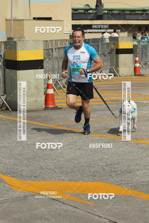 Buy your photos of the eventCorrida Scooby Doo Internacional Shopping Guarulhos 2019 on Fotop