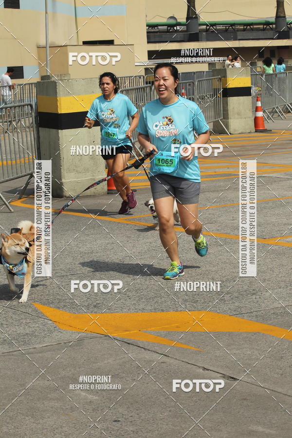 Buy your photos of the eventCorrida Scooby Doo Internacional Shopping Guarulhos 2019 on Fotop