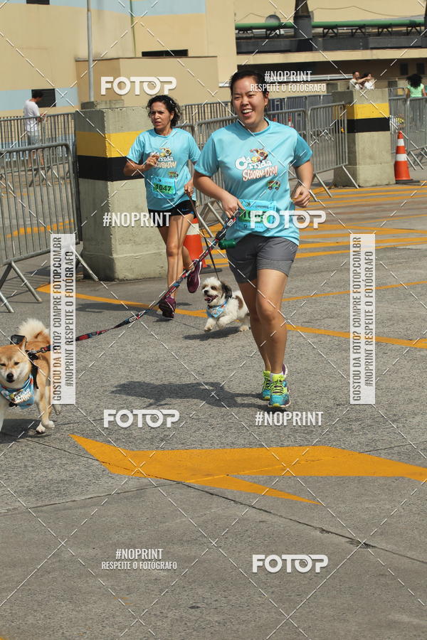 Buy your photos of the eventCorrida Scooby Doo Internacional Shopping Guarulhos 2019 on Fotop