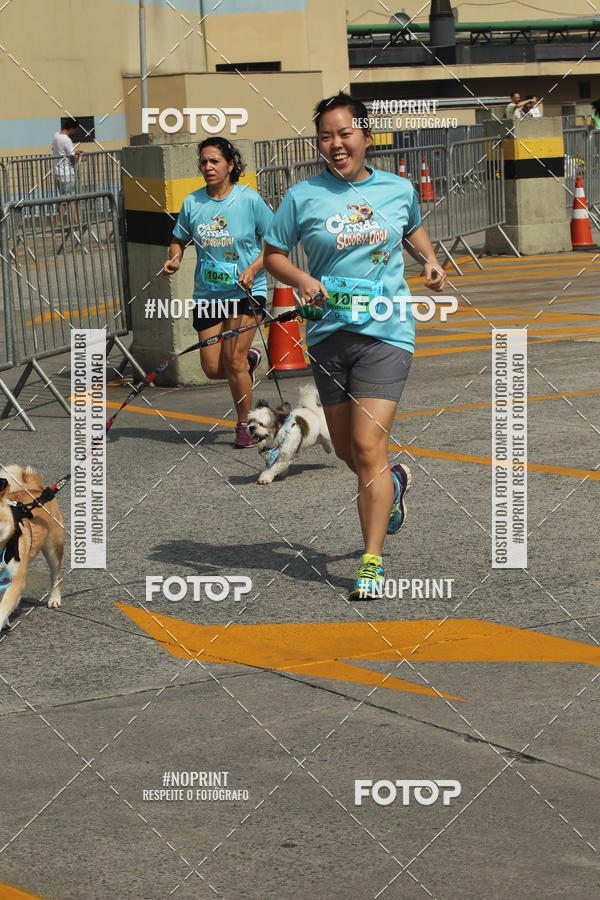 Buy your photos of the eventCorrida Scooby Doo Internacional Shopping Guarulhos 2019 on Fotop