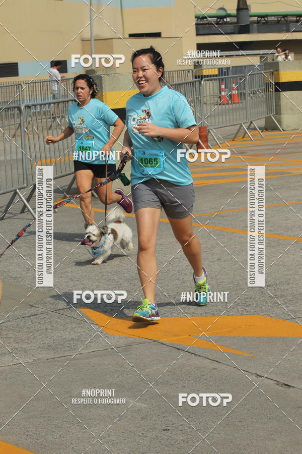 Buy your photos of the eventCorrida Scooby Doo Internacional Shopping Guarulhos 2019 on Fotop