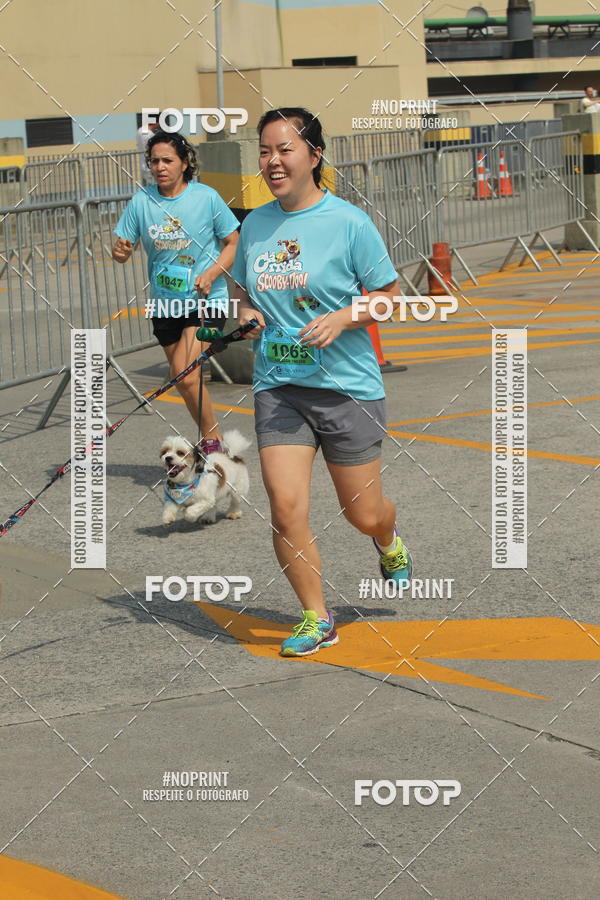 Buy your photos of the eventCorrida Scooby Doo Internacional Shopping Guarulhos 2019 on Fotop