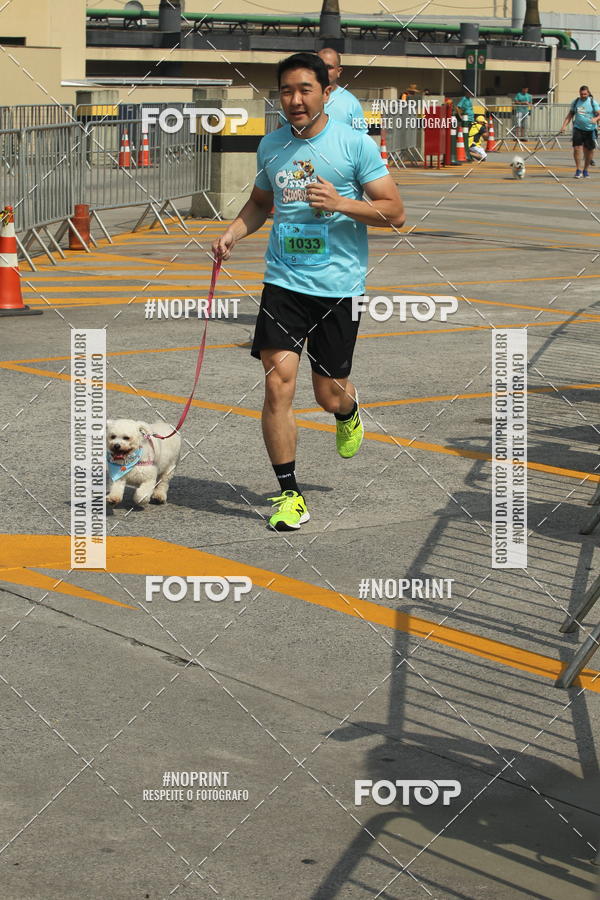 Buy your photos of the eventCorrida Scooby Doo Internacional Shopping Guarulhos 2019 on Fotop