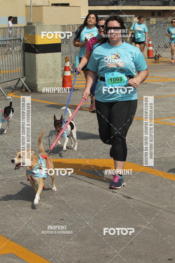 Buy your photos of the eventCorrida Scooby Doo Internacional Shopping Guarulhos 2019 on Fotop