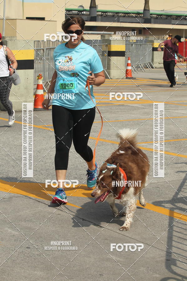Buy your photos of the eventCorrida Scooby Doo Internacional Shopping Guarulhos 2019 on Fotop