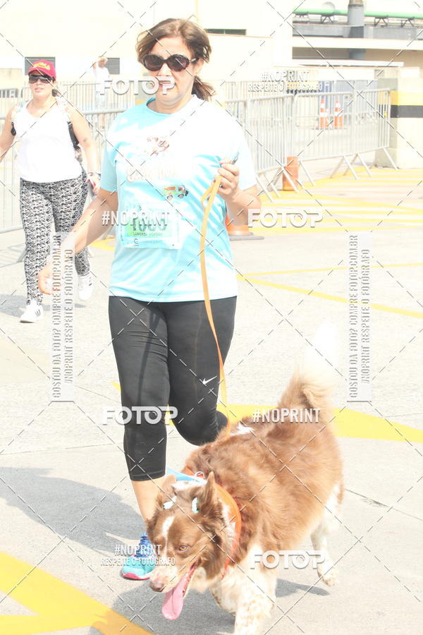 Buy your photos of the eventCorrida Scooby Doo Internacional Shopping Guarulhos 2019 on Fotop