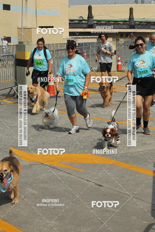 Buy your photos of the eventCorrida Scooby Doo Internacional Shopping Guarulhos 2019 on Fotop
