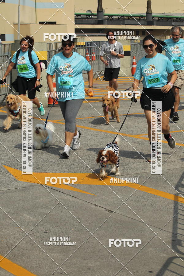 Buy your photos of the eventCorrida Scooby Doo Internacional Shopping Guarulhos 2019 on Fotop