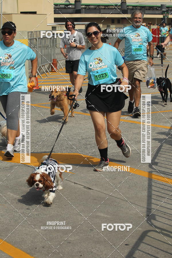 Buy your photos of the eventCorrida Scooby Doo Internacional Shopping Guarulhos 2019 on Fotop
