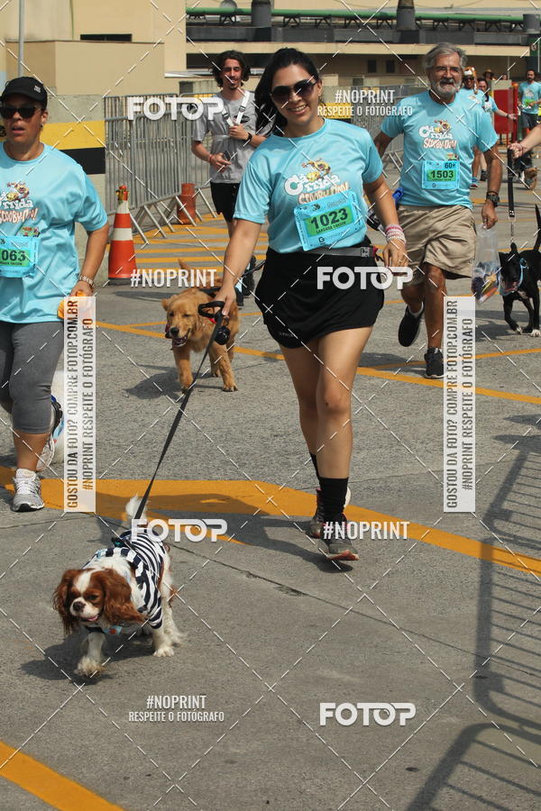 Buy your photos of the eventCorrida Scooby Doo Internacional Shopping Guarulhos 2019 on Fotop
