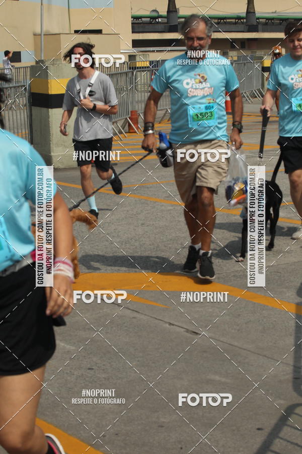 Buy your photos of the eventCorrida Scooby Doo Internacional Shopping Guarulhos 2019 on Fotop