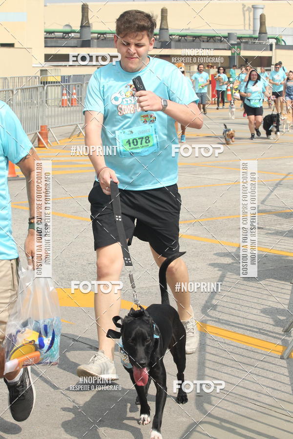 Buy your photos of the eventCorrida Scooby Doo Internacional Shopping Guarulhos 2019 on Fotop