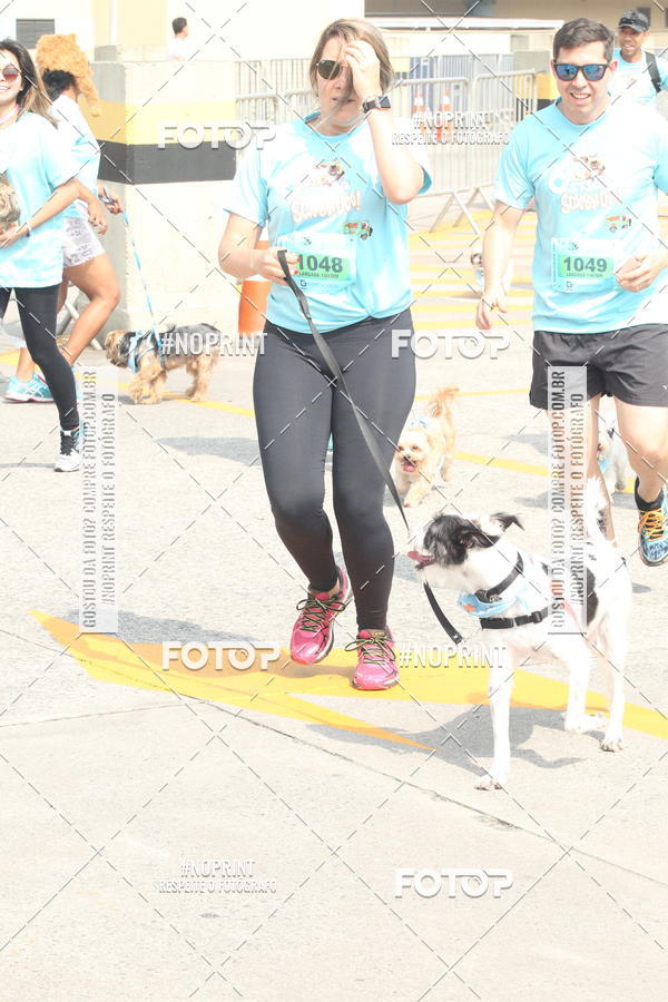 Buy your photos of the eventC�orrida Scooby Doo Internacional Shopping Guarulhos 2019 on Fotop