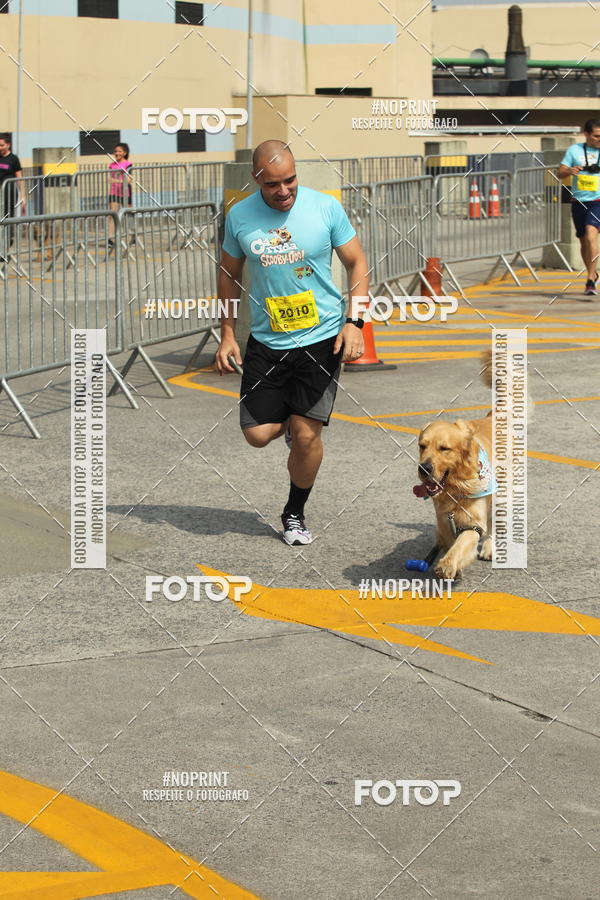 Buy your photos of the eventC�orrida Scooby Doo Internacional Shopping Guarulhos 2019 on Fotop