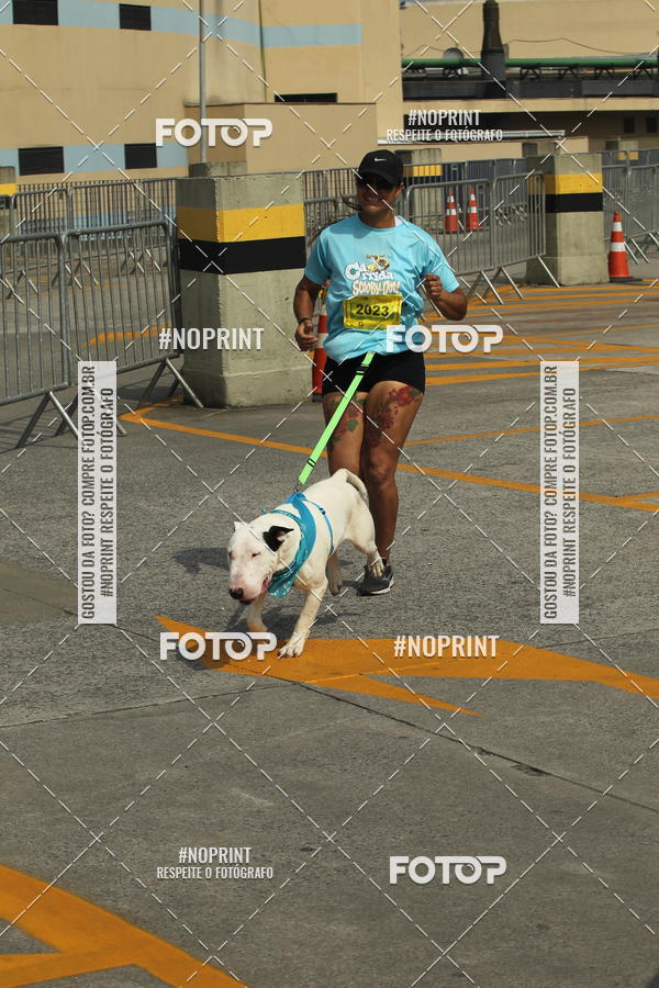 Buy your photos of the eventC�orrida Scooby Doo Internacional Shopping Guarulhos 2019 on Fotop