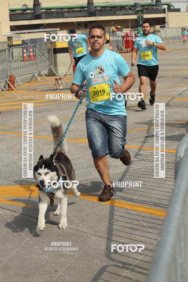 Buy your photos of the eventC�orrida Scooby Doo Internacional Shopping Guarulhos 2019 on Fotop