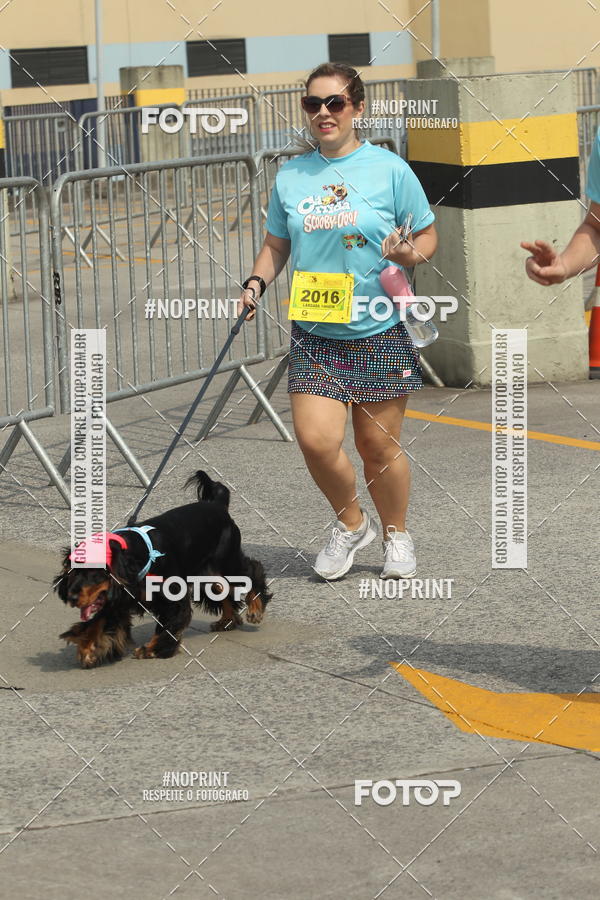 Buy your photos of the eventC�orrida Scooby Doo Internacional Shopping Guarulhos 2019 on Fotop