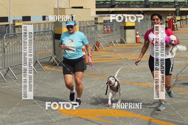 Buy your photos of the eventC�orrida Scooby Doo Internacional Shopping Guarulhos 2019 on Fotop