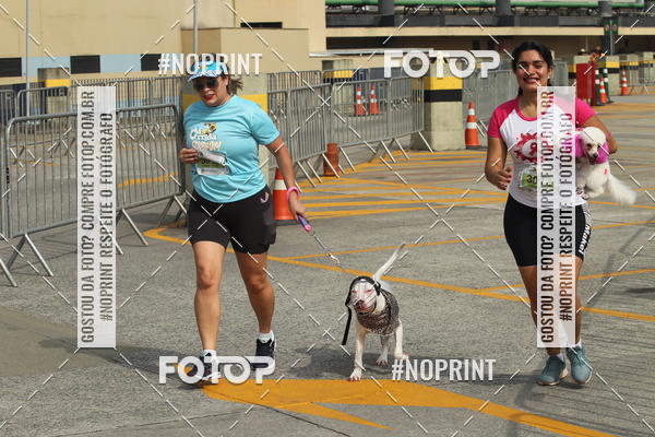 Buy your photos of the eventC�orrida Scooby Doo Internacional Shopping Guarulhos 2019 on Fotop