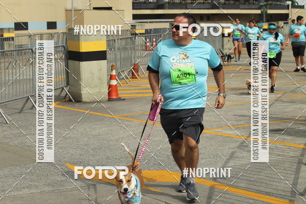 Buy your photos of the eventC�orrida Scooby Doo Internacional Shopping Guarulhos 2019 on Fotop