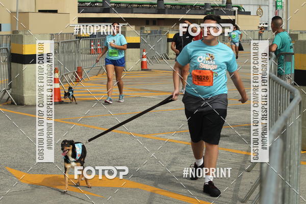 Buy your photos of the eventC�orrida Scooby Doo Internacional Shopping Guarulhos 2019 on Fotop