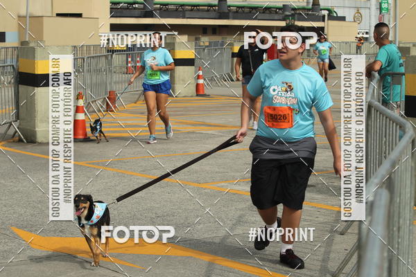 Buy your photos of the eventC�orrida Scooby Doo Internacional Shopping Guarulhos 2019 on Fotop