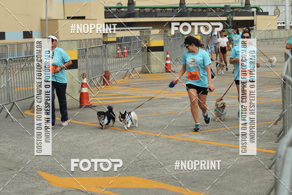 Buy your photos of the eventC�orrida Scooby Doo Internacional Shopping Guarulhos 2019 on Fotop