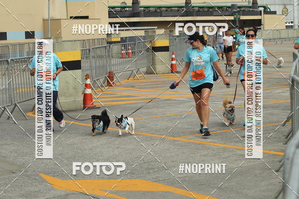 Buy your photos of the eventC�orrida Scooby Doo Internacional Shopping Guarulhos 2019 on Fotop