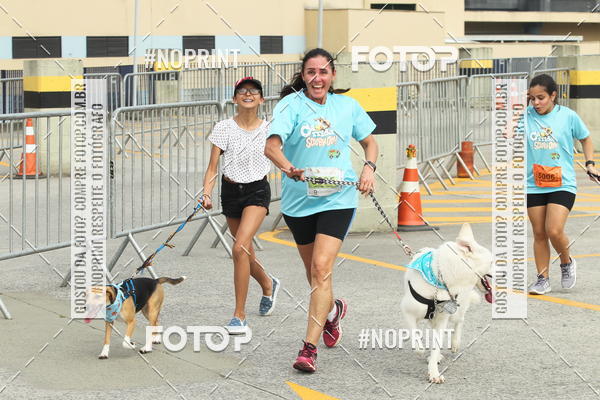 Buy your photos of the eventC�orrida Scooby Doo Internacional Shopping Guarulhos 2019 on Fotop