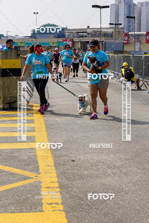 Buy your photos of the eventCorrida Scooby Doo Internacional Shopping Guarulhos 2019 on Fotop
