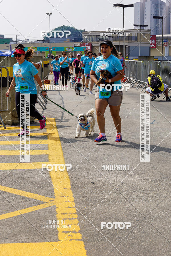 Buy your photos of the eventCorrida Scooby Doo Internacional Shopping Guarulhos 2019 on Fotop