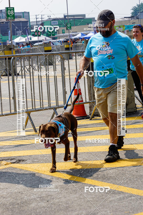 Buy your photos of the eventCorrida Scooby Doo Internacional Shopping Guarulhos 2019 on Fotop