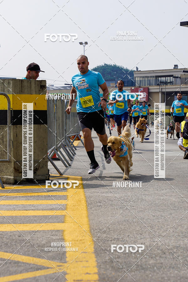 Buy your photos of the eventCorrida Scooby Doo Internacional Shopping Guarulhos 2019 on Fotop