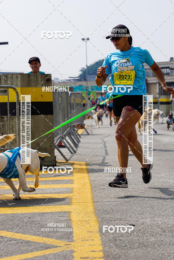 Buy your photos of the eventCorrida Scooby Doo Internacional Shopping Guarulhos 2019 on Fotop