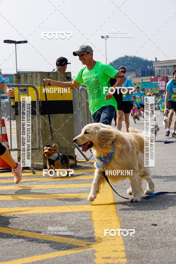 Buy your photos of the eventCorrida Scooby Doo Internacional Shopping Guarulhos 2019 on Fotop