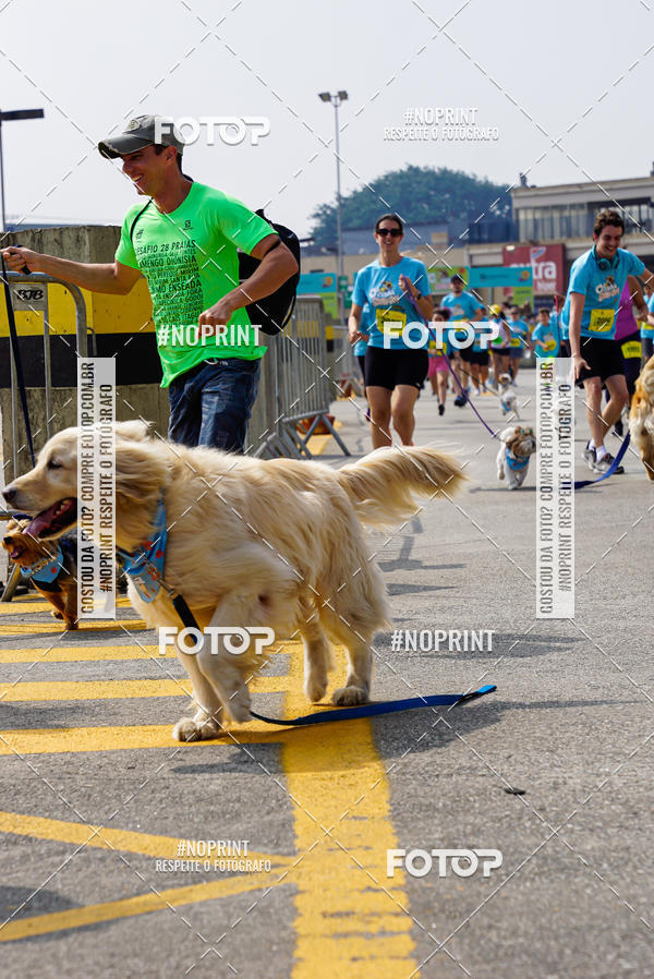 Buy your photos of the eventCorrida Scooby Doo Internacional Shopping Guarulhos 2019 on Fotop
