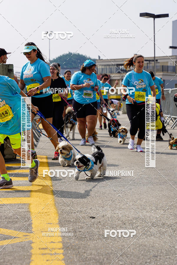 Buy your photos of the eventCorrida Scooby Doo Internacional Shopping Guarulhos 2019 on Fotop