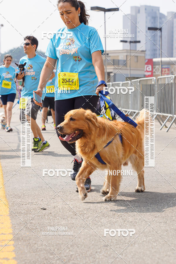 Buy your photos of the eventCorrida Scooby Doo Internacional Shopping Guarulhos 2019 on Fotop