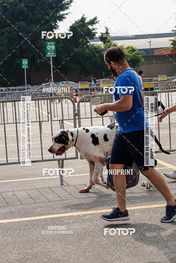 Buy your photos of the eventCorrida Scooby Doo Internacional Shopping Guarulhos 2019 on Fotop
